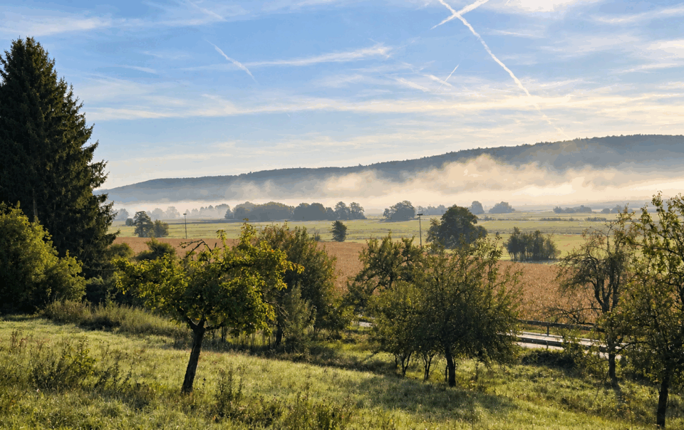 Herbstliche Streuobstwiese in der Wetterau mit Morgennebel über den Feldern