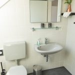 Modernes Tageslichtbad in der Ferienwohnung „Ronneburg“. Die Wände sind hellgrau gefliest, der Boden dunkelgrau. Eine Standtoilette und ein Waschbecken mit Glasablage stehen im Fokus. Auf der Ablage befinden sich Zahnputzbecher und Flüssigseife. Darüber hängt ein rechteckiger Spiegel mit großer Lampe. Links daneben steht ein schwarzes Regal mit Handtuch, kupferfarbener Vase und kleiner Pflanze. Unter dem Waschbecken steht ein silberner Mülleimer. Ein großes Dachfenster lässt viel Tageslicht in den Raum und bietet eine freundliche, helle Atmosphäre. Die Einrichtung wirkt stilvoll und aufgeräumt.