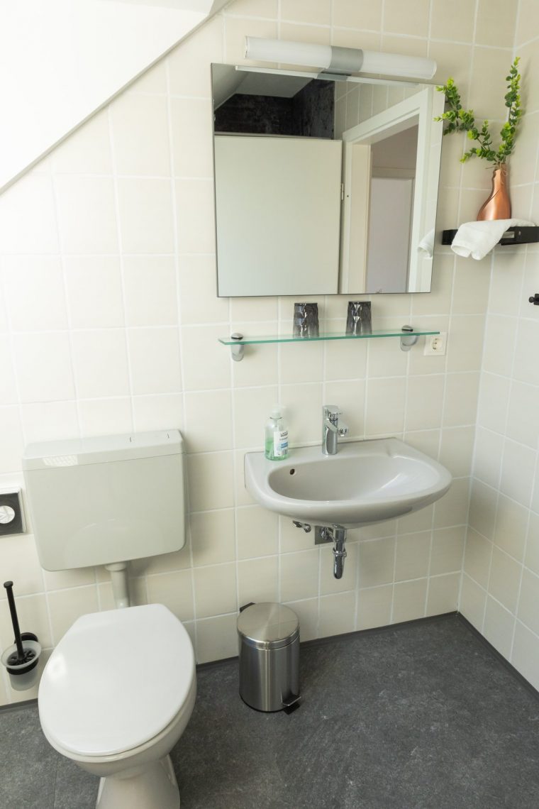 Modernes Tageslichtbad in der Ferienwohnung „Ronneburg“. Die Wände sind hellgrau gefliest, der Boden dunkelgrau. Eine Standtoilette und ein Waschbecken mit Glasablage stehen im Fokus. Auf der Ablage befinden sich Zahnputzbecher und Flüssigseife. Darüber hängt ein rechteckiger Spiegel mit großer Lampe. Links daneben steht ein schwarzes Regal mit Handtuch, kupferfarbener Vase und kleiner Pflanze. Unter dem Waschbecken steht ein silberner Mülleimer. Ein großes Dachfenster lässt viel Tageslicht in den Raum und bietet eine freundliche, helle Atmosphäre. Die Einrichtung wirkt stilvoll und aufgeräumt.